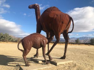 Massive steel sculpture of a prehistoric camel and her suckling young.