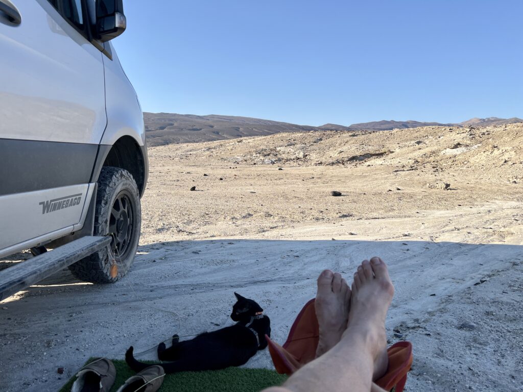 Lounging in the desert with a black cat.