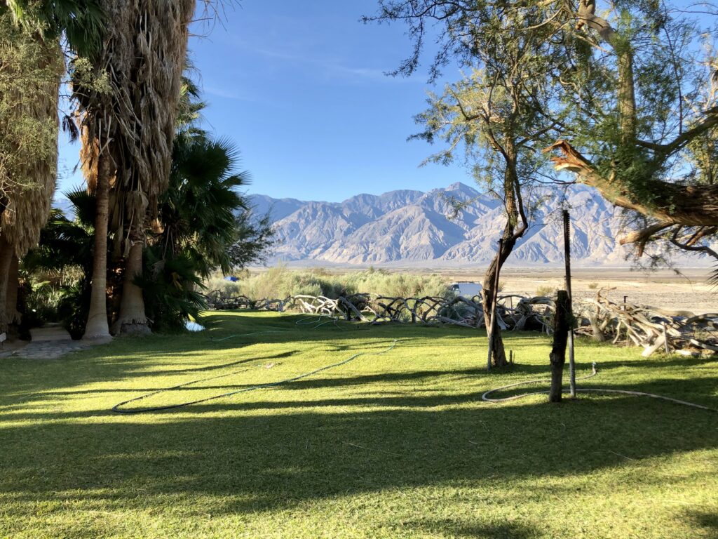 Desert oasis, complete with palm trees and soaking tubs fed by natural hot springs.